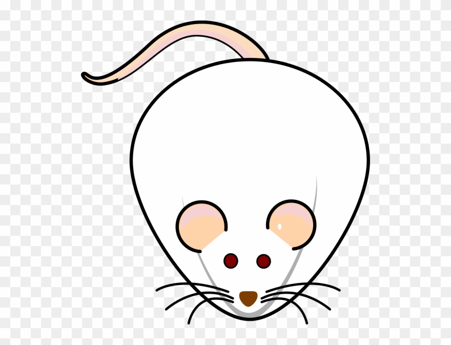 Download Balb C Mice Png Clipart (#1327151) - PinClipart