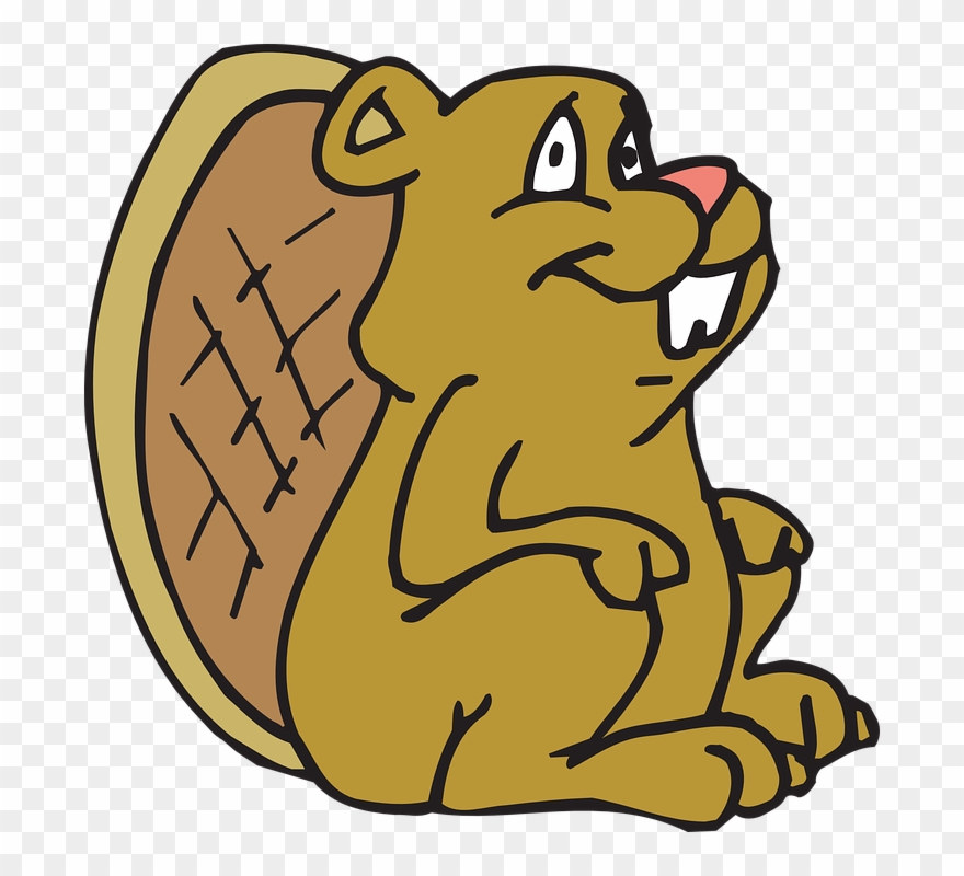 Woodland Squirrel Cliparts 27, Buy Clip Art - Beaver Coloring Page - Png Download