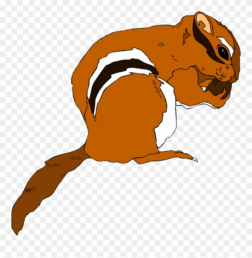 Animated Squirrel Clipart 16, Buy Clip Art - Squirrel Eating Nut Cartoon - Png Download