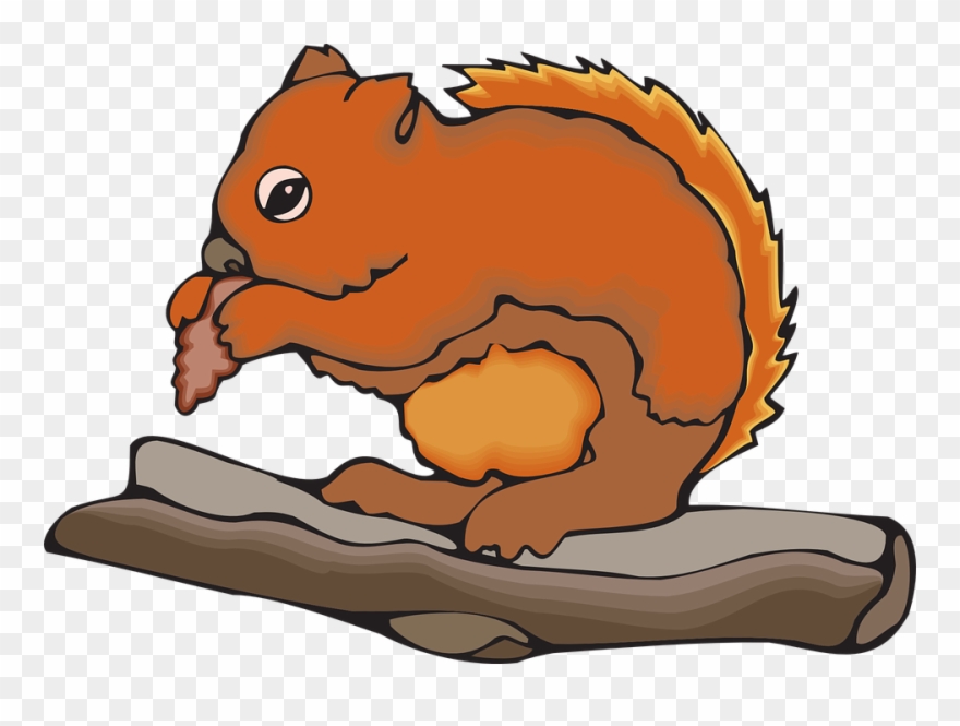 Animated Squirrel Clipart 8, Buy Clip Art - Animals Food Clipart - Png Download