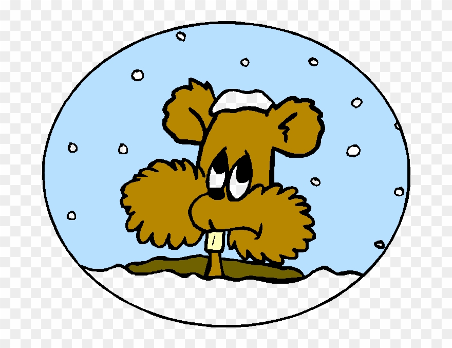 Punxsutawney Phil Clipart Punxsutawney The Groundhog - Punxsutawney Phil Clipart - Png Download