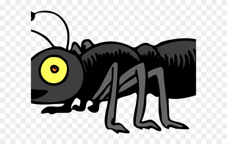 Ants Clipart Line Clip Art - Free Ant Clip Art - Png Download
