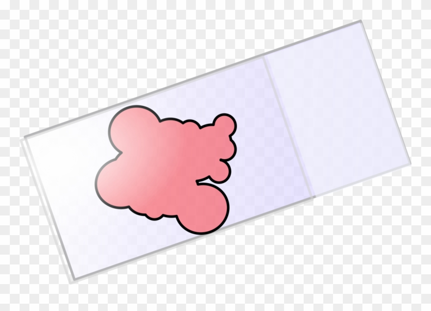 All Photo Png Clipart - Cover Slip Clipart Transparent Png