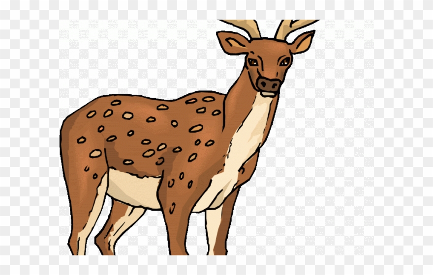 Deer Clipart Spotted Deer - Deer - Png Download