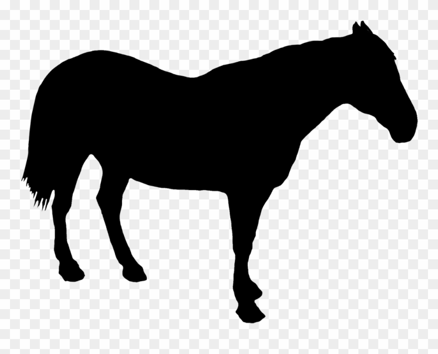 Horse Standing Silhouette Clipart
