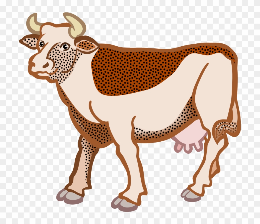 249 × 240 Pixels - Kuh Clipart - Png Download