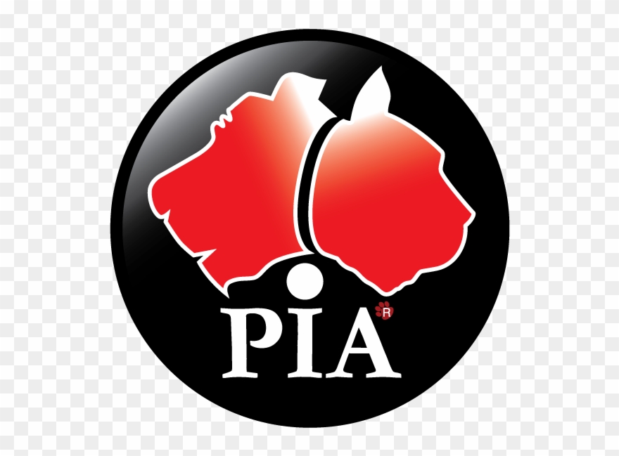 Pet Insurance Australia - City Hall Clipart