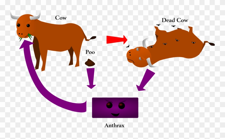 Dead Clipart Dead Bacteria - Icon Dead Cow - Png Download