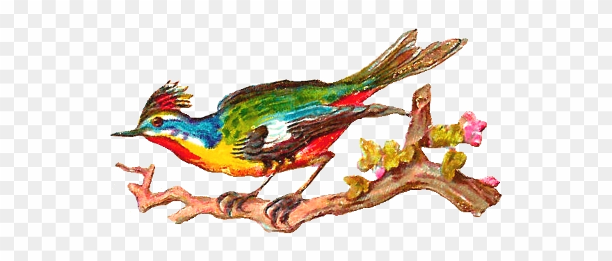 Myriad 20clipart Clipart Panda Free - Portable Network Graphics - Png Download