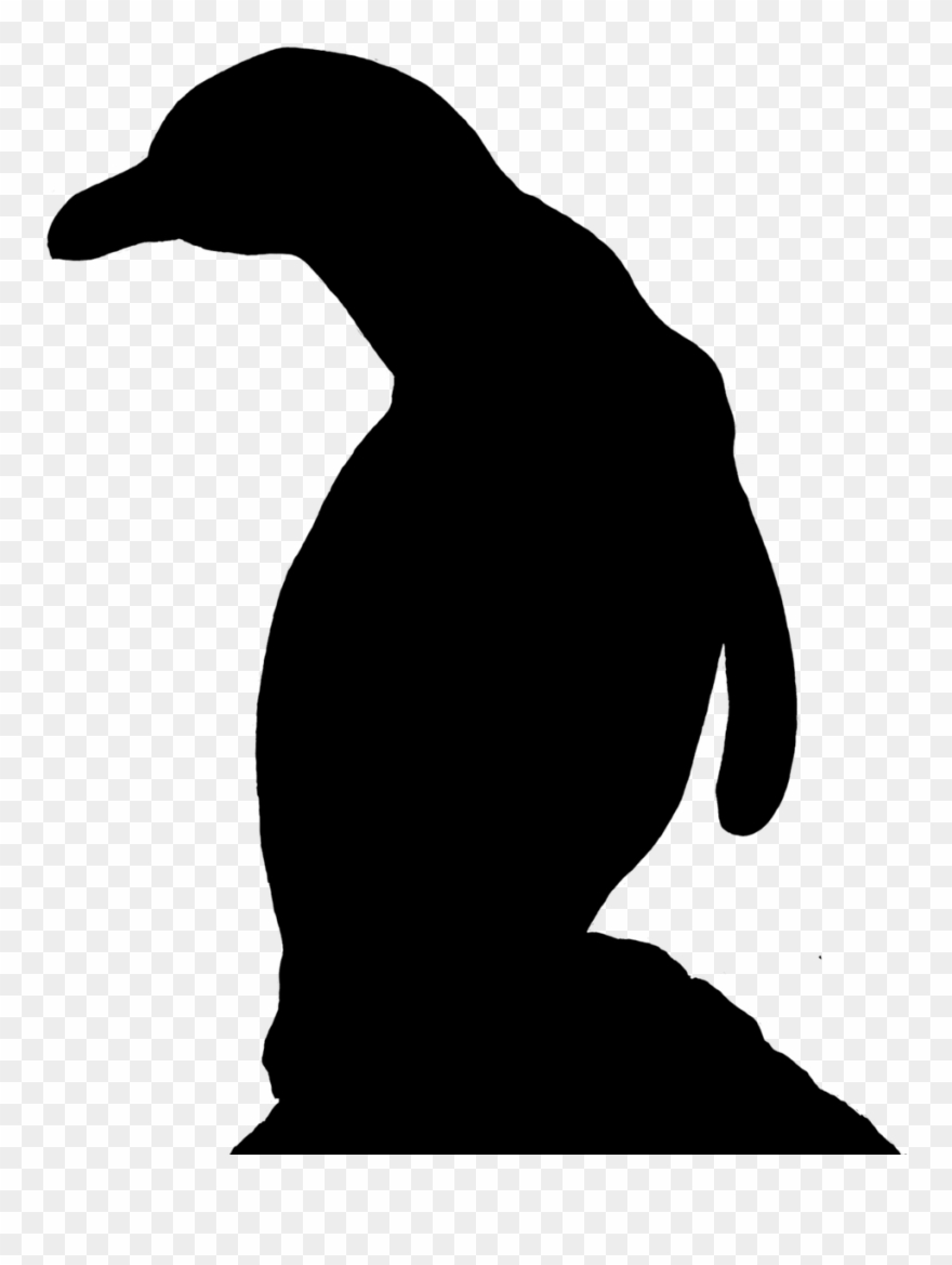 Penguin,water Pictures, Free Photos, Free - Pingvin Silhuett Clipart
