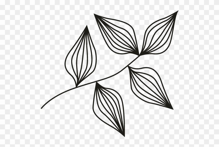 Sprig - Sketch Clipart