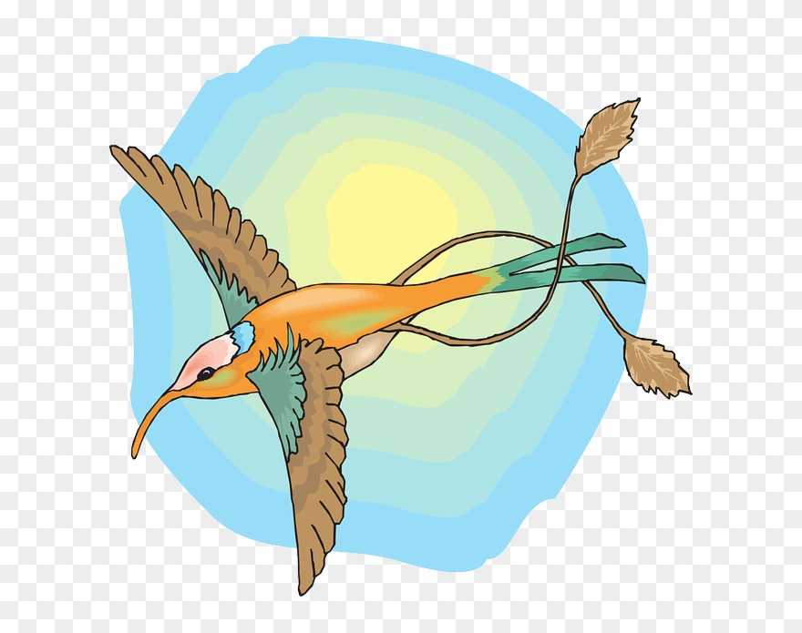 Feathers Sun, Sky, Bird, Wings, Hummingbird, The, With, - Sun And Birds Png Clipart Transparent Png