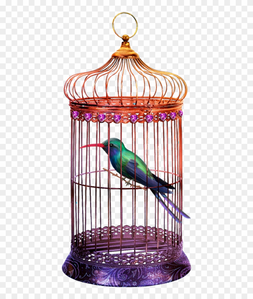 0 8f7ad 2c31c358 Orig Png Bird Houses And Feeders Pinterest - Byzantine Dome Bird Cages - Set Of 2 Clipart