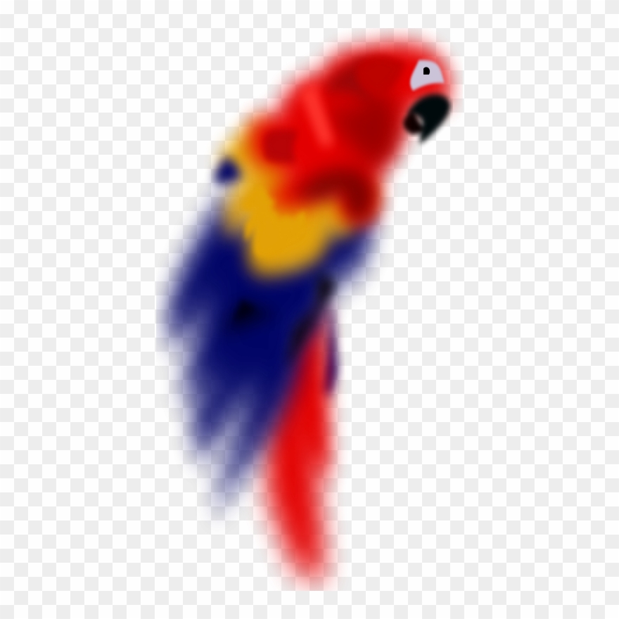Bird Clip Art - Clip Art - Png Download