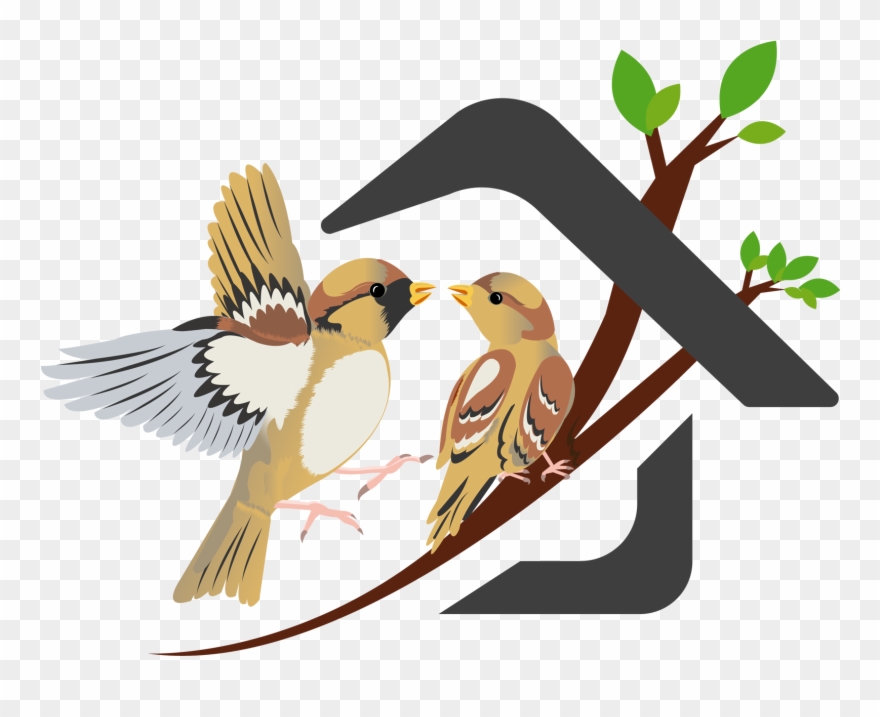 Nest Clipart Sparrow Nest - Save The Sparrow - Png Download