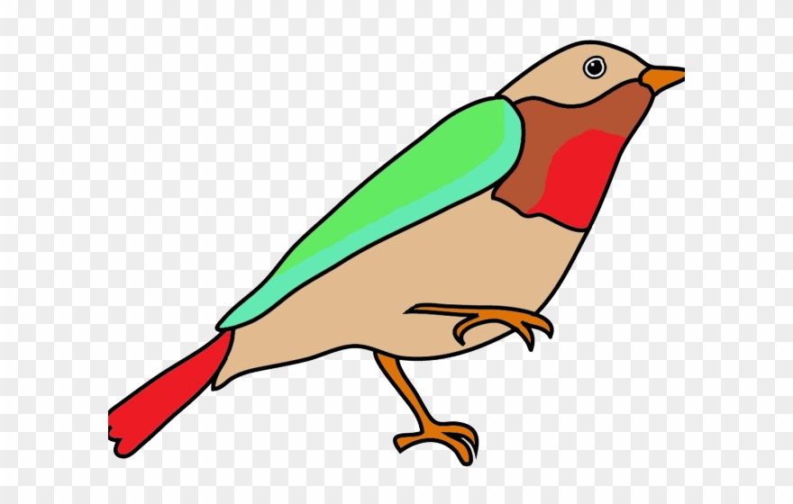 Sketch Clipart Bird - Bird Drawing With Color - Png Download