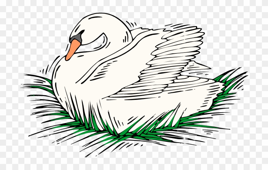 Nesting Swan - Duck Clipart