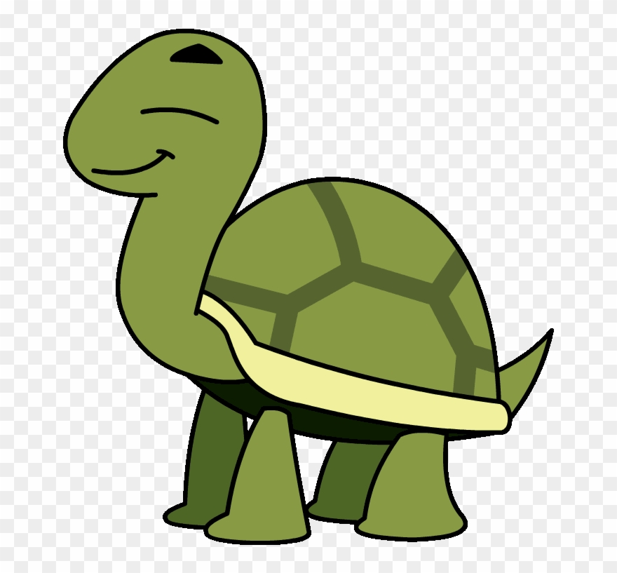 Animated Turtle - Turtle Cartoon Gif Transparent Clipart