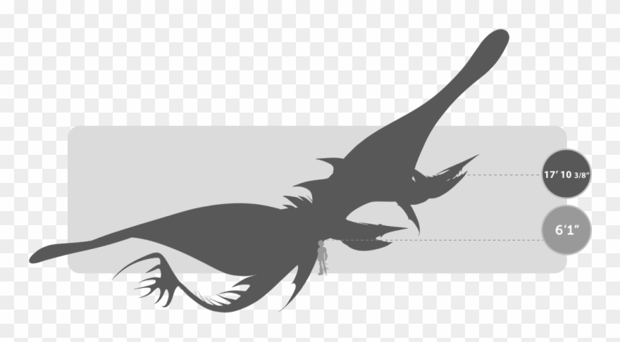 Explora - Shock Marino Dragon Clipart