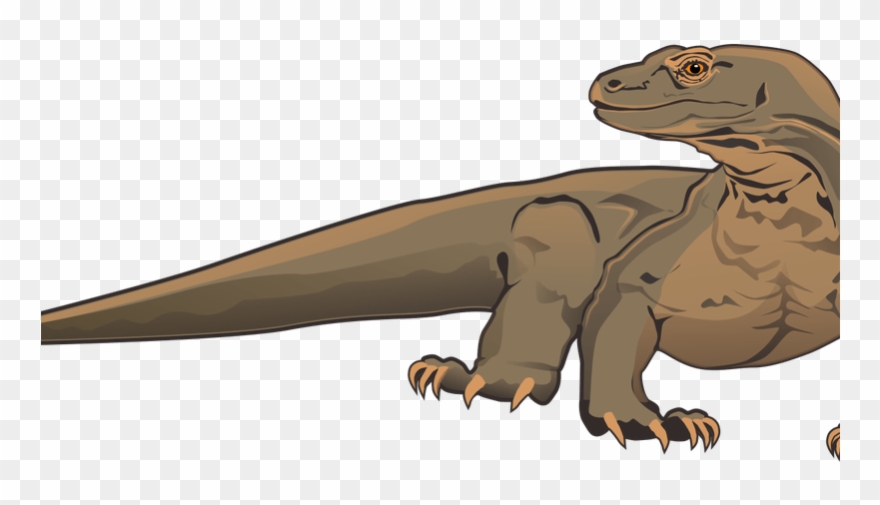 Komodo Dragon Clipart White Background - Komodo Dragon Clipart - Png Download