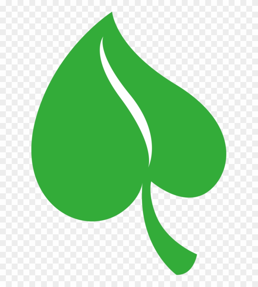 Photo Shared On Meowchat Tissue Paper Flowers, Felt - Hojas De Flor Animados Clipart