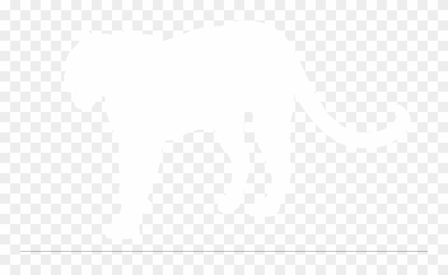 Panthera Pardus - Elephant Clipart