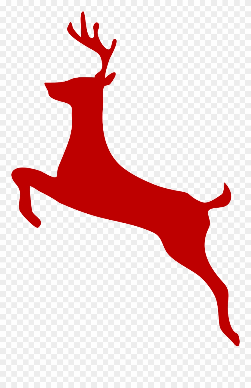 Publicado Por Paz En La Tormenta - Deer Clip Art - Png Download