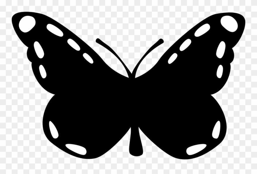 All Photo Png Clipart - Siluetas De Animales Mariposa Transparent Png
