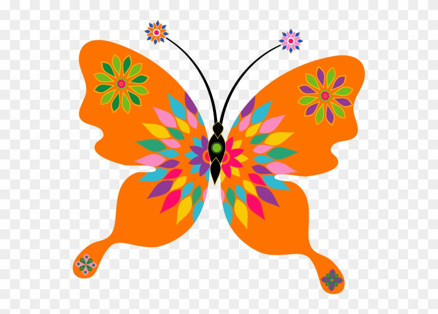 ‿✿⁀butterflies‿✿⁀ - Butterfly Color Orange Clipart - Png Download