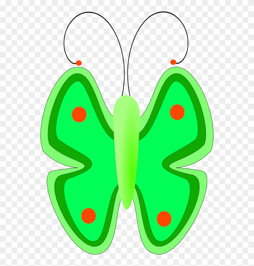 Butterfly Front View - Butterfly Clip Art For Kids - Png Download