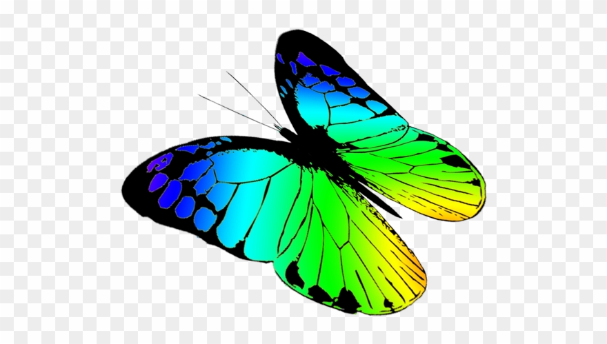 Butterfly Clipart - Clip Art Free Butterfly - Png Download