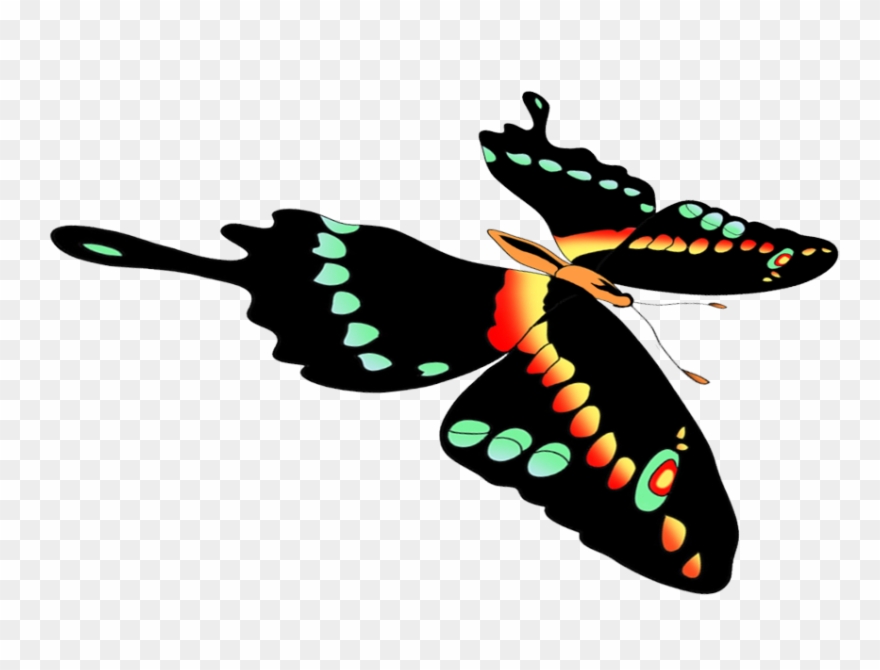 Clipartqueen - Moths And Butterflies - Png Download