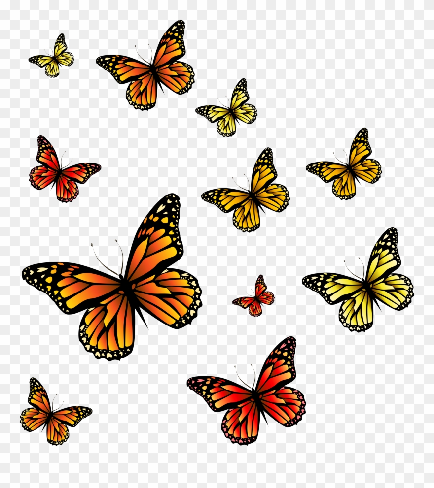 Clipart Butterfly Burgundy - Butterflies Png Transparent Png