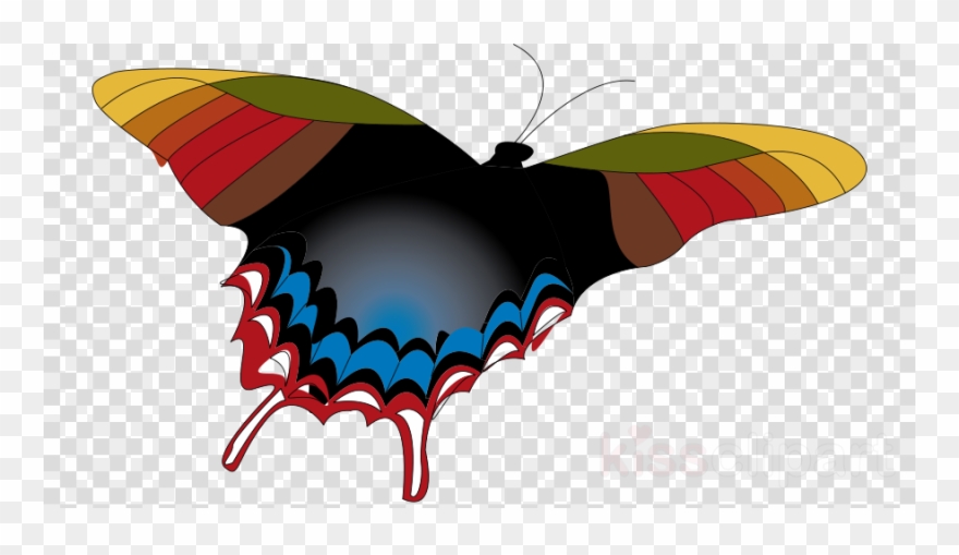 Clip Art Clipart Butterfly Insect Clip Art - Clip Art - Png Download