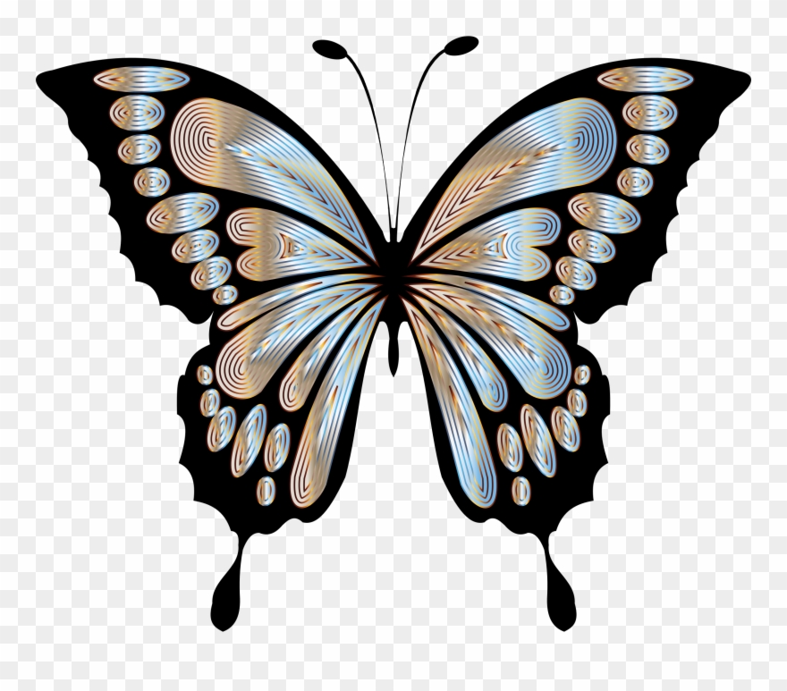 Big Image - Blue Morpho Butterfly Clipart - Png Download