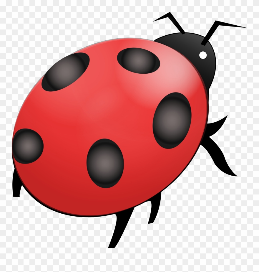 Open - Nuvola Clipart