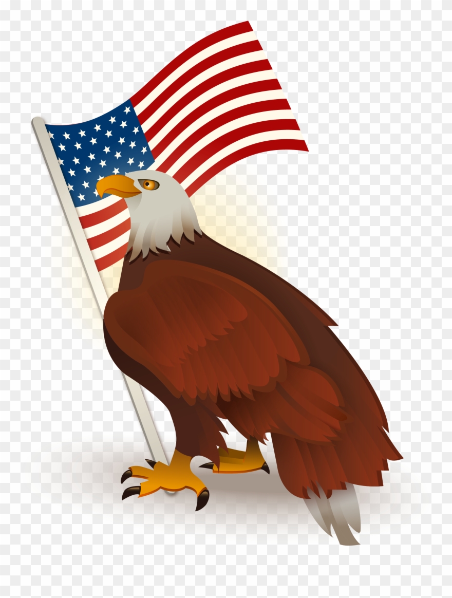 Bald Of The Clip Art - Transparent Eagle American Flag - Png Download