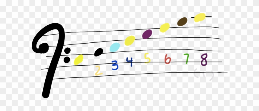Here Is Bass Clef Looks Like Now With A C Major Scale - Portable Network Graphics Clipart