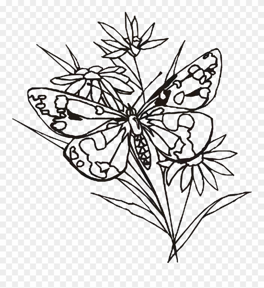 Banner Black And White Library Crosses With Drawing - Flower Drawings With Butterflies Clipart