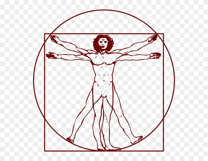 Vitruvian Man Clipart - Vitruvianischer Mensch - Png Download