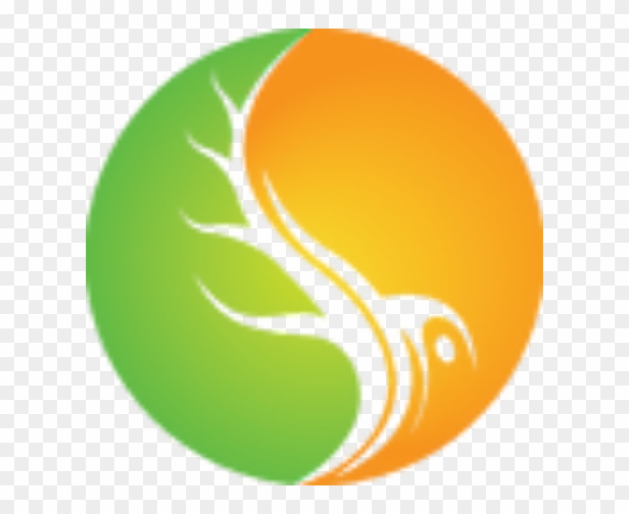 Elementz - Graphic Design Clipart