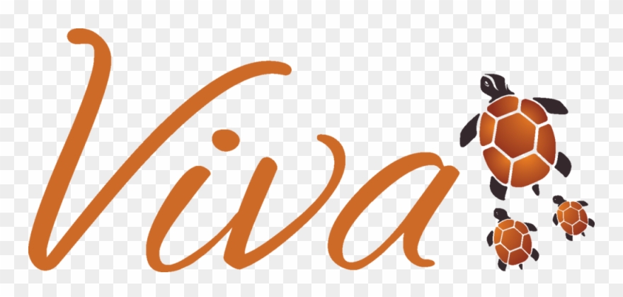 Vivaturtlebranding - Viva Modern Mexican Logo Clipart
