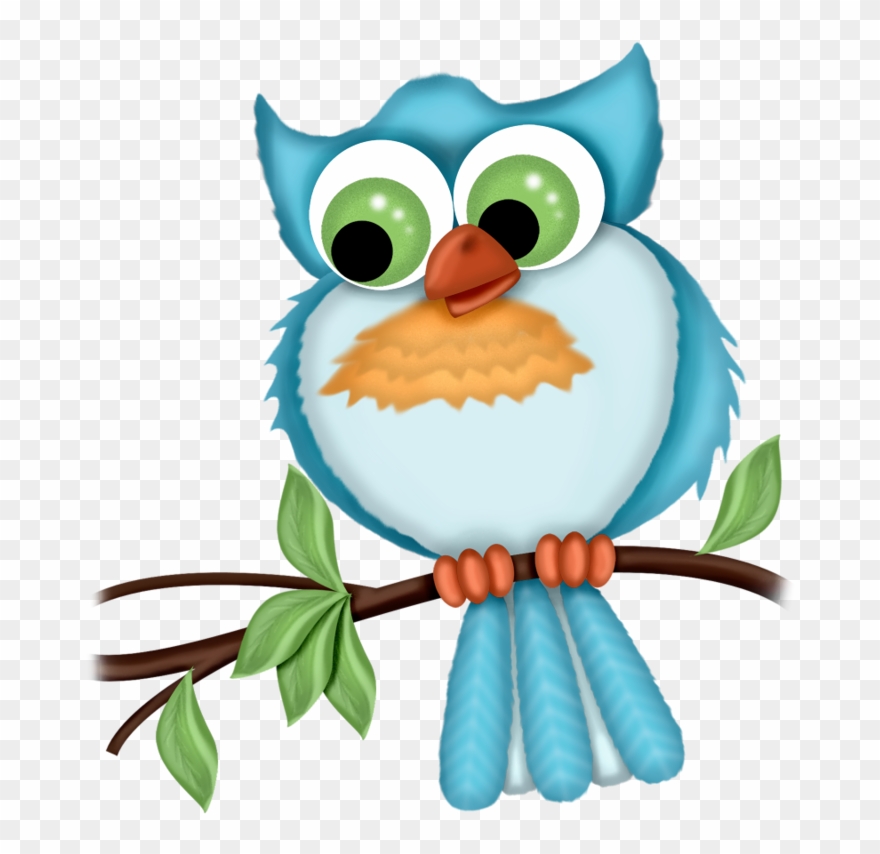 Album - นก ฮูก Png Clipart