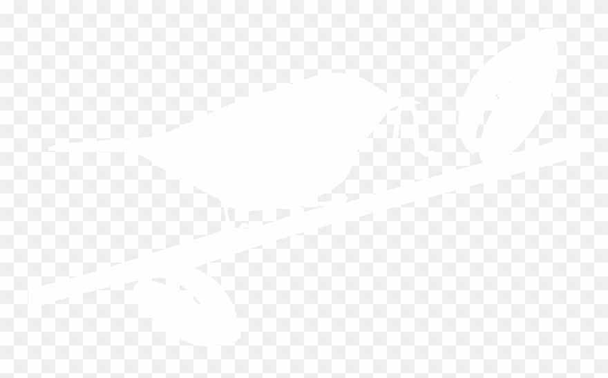 Behavior Foliage Gleaner - Cornell Lab Of Ornithology Clipart