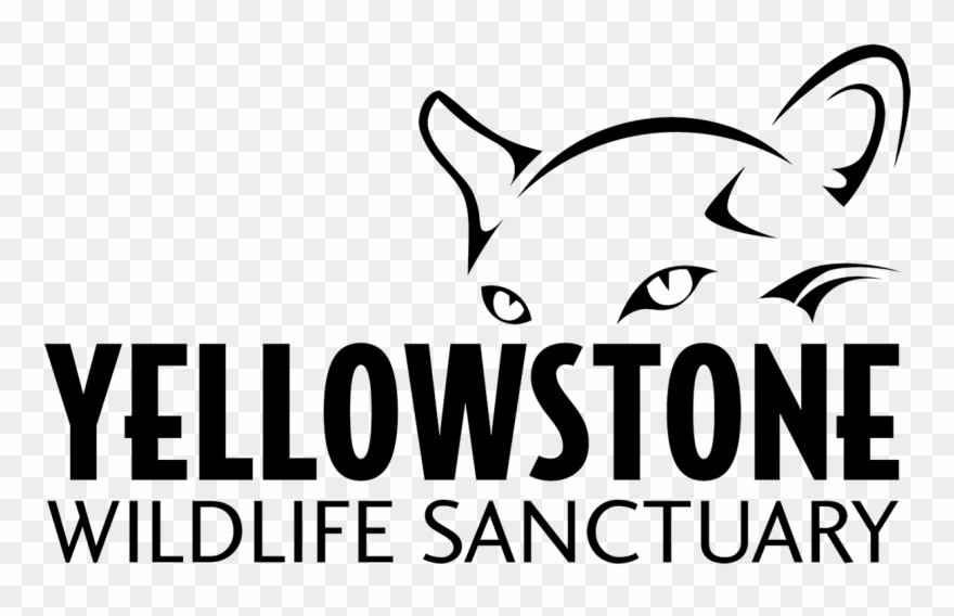 Yws Logo - Yellowstone Wildlife Sanctuary Clipart