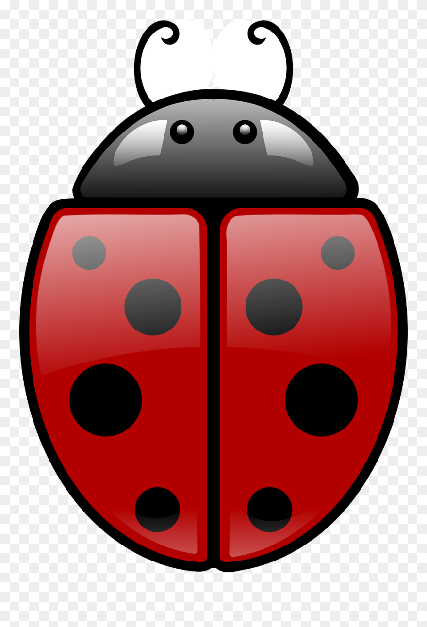 Ladybug Clipart Symmetrical - Imagen En Rojo Y Negro - Png Download