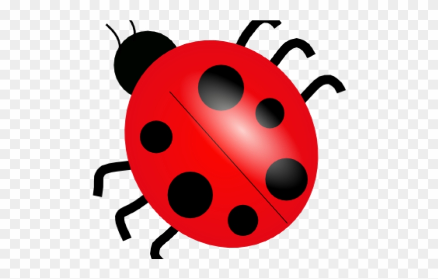 Ladybug Clipart Public Domain - Dibujo De Una Mariquita - Png Download