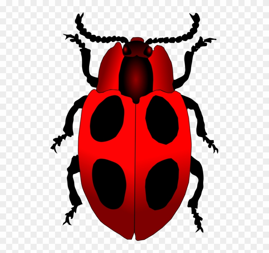 All Photo Png Clipart - Adrien Agreste Ve Marinette Dupain Cheng Transparent Png