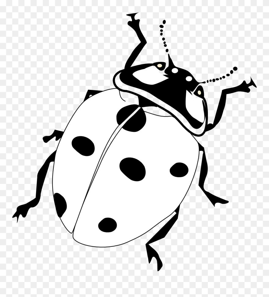 Download Free Printable "ladybug Drawing" Template Clipart