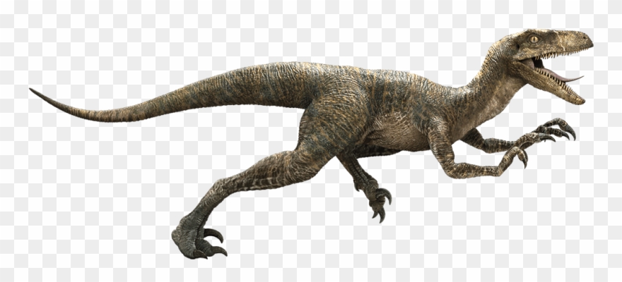 Raptor Dinosaur Png - Jurassic World Velociraptor Clipart